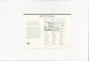 Arctic Tundra  Scott #3802