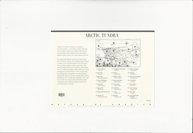Arctic Tundra  Scott #3802