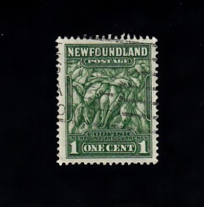 Newfoundland Scott #183 Used