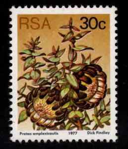 South Africa Scott 488a Flower stamp MNH** 1977 perf 14