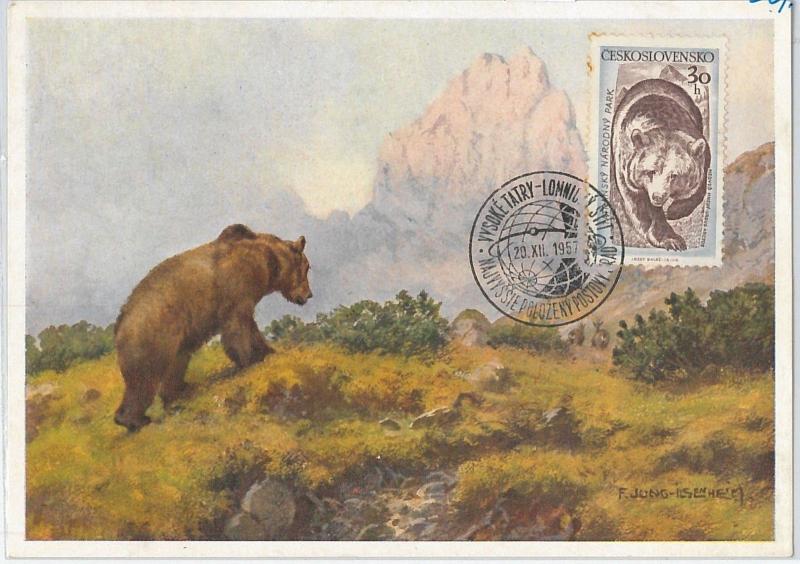 63509 - CZECHOSLOVAKIA - POSTAL HISTORY: MAXIMUM CARD 1957 -  ANIMALS: Bear