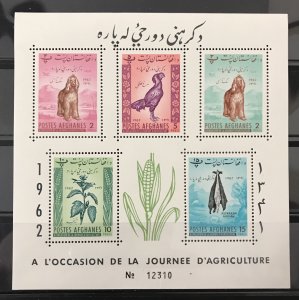 Afghanistan 1962 #569a S/S, MNH,  Est CV $2.75