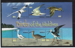Maldive islands birds souvenir sheet  mnh sc  3007