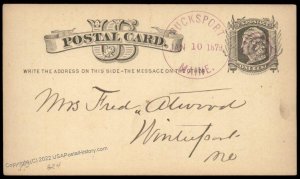 USA 1879 BUCKSPORT Maine Violet Cancel Cover Advertising JH Douglas Dry Go 96288