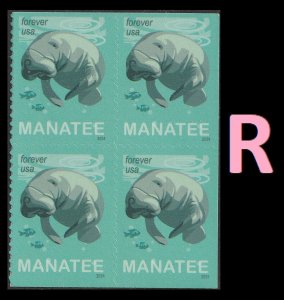 US 5851 Save Manatees F block 4 R MNH 2024