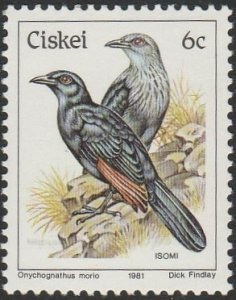 South Africa-Ciskei #10 1981 6c Red-winged Starling MNH.