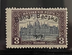 Hungary, 1919, SC 10N14, LH, VF.