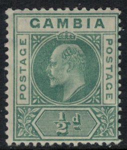 Gambia #41*  CV $5.25