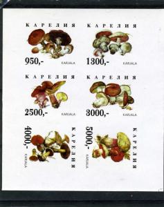 Karjala 1997 (Russia local Stamp) MUSHROOMS Sheet Imperforated Mint (NH)