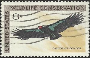 # 1430 USED CALIFORNIA CONDOR