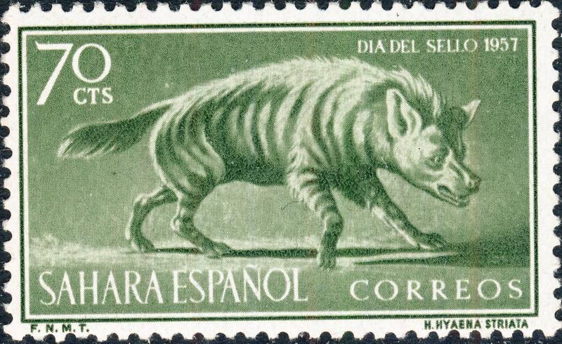 SPANISH SAHARA - 1957 Mi.176 70c Stamp Day / Striped Hyena - MH*