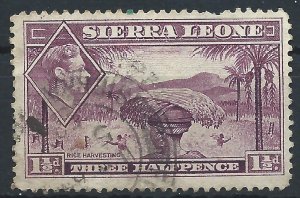 Sierra Leone 1941 - 1½d George VI - SG190a used