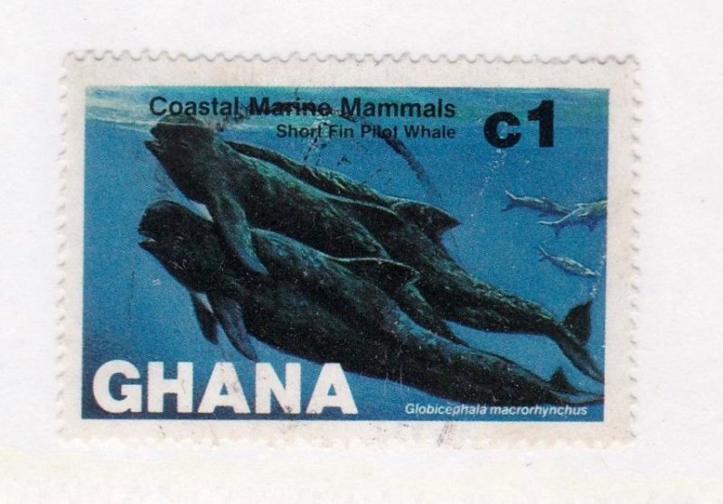 Ghana          841        used