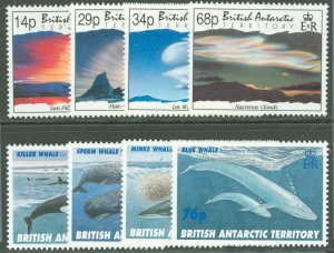 British Antarctic Territory #198/247