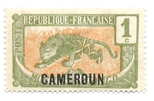 Cameroun 1921 - M - Scott #147 *
