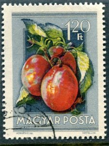 Hungary FRUIT Stamp Perforated Fine used