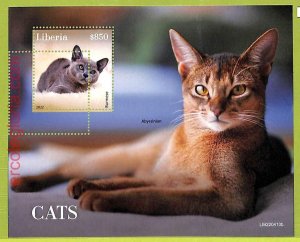 B0503 - LIBERIA - MISPERF ERROR Stamp Sheet - 2022 - Animals, CATS-