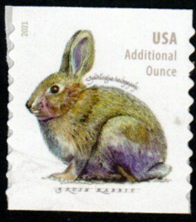 SC# 5545 - (20c) - Additional Ounce - Brush Rabbit, Coil - MNH single