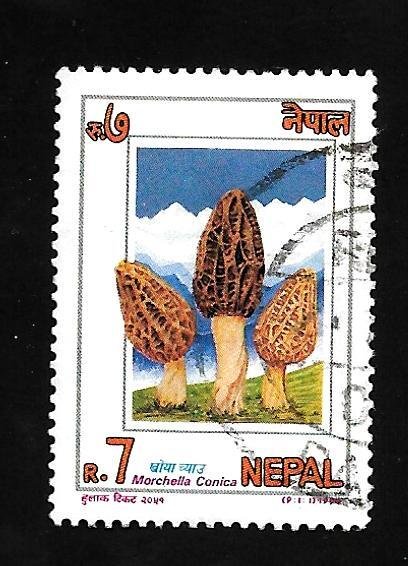 Nepal 1994 - U - Scott #554