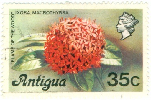 ANTIGUA 416 USED BIN $0.50