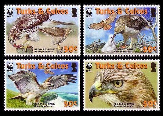 Turks and Caicos Birds WWF Red-tailed Hawk 4v SG#1870-1873 SC#1482a-d