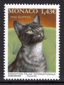 MONACO 2022 CATS CHATS KATZE GATTI GATOS