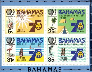Bahamas 1985 International Youth Year, Girl Guides, Miniature Sheet [Mint]