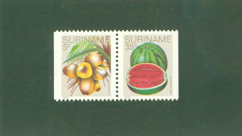 SURINAM 510, 515 FROM BKLT PANE MH BIN $1.00