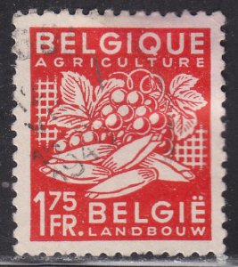 Belgium 377 Agriculture 1948