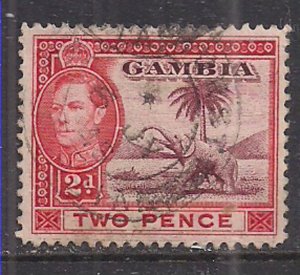 Gambia 1938 - 46 KGV1 2d Elephant SG 153a used ( F102 )