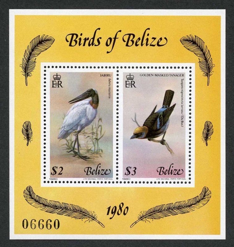 Belize SG MS567 1980 4th series Birds Min sheet Fresh U/M