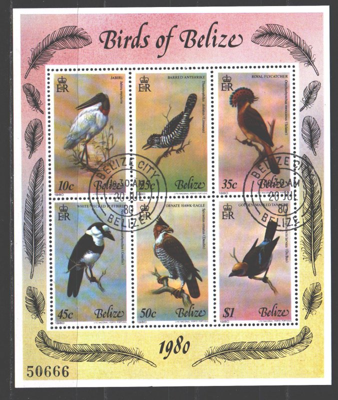 Belize. 1980. Small sheet 487-92. Birds fauna. USED. 