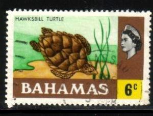 Hawksbill Turtle, Bahamas stamp SC#318 used