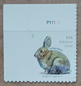 United States #5544 (20c) Brush Rabbit Additional Ounce MNH plate #P11111 (2021)