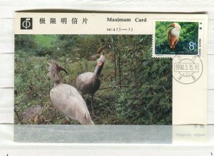 CHINA PRC; 1984 special Illustrated stamped POSTAL  CARD Birds issue