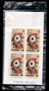 1976 - #685 Olympic Handycrafts Postage Stamps - Inscription Block Set - cv$42