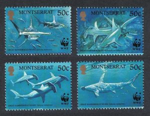 Montserrat WWF Great Hammerhead Shark 4v 1999 MNH SC#998 a-d SG#1148-1151