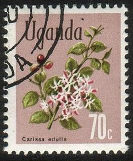 Uganda #123 - Flower - Used (Ug-019)