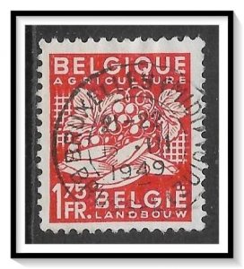 Belgium #377 Agriculture Used