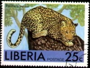 Leopard, Liberia stamp SC#767 used