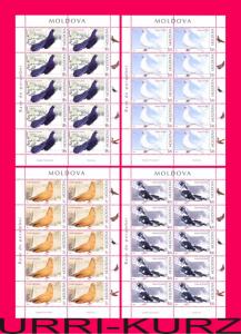 MOLDOVA 2012 Nature Fauna Birds Pigeons 4 m-s Sc755-758 Mi 799-802 MNH