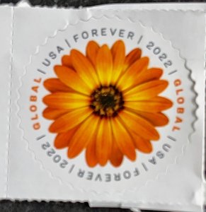 US 2022 Afrian Daisy Global Forever MNH OG # 5680