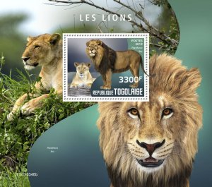 Togo 2019 MNH Wild Animals Stamps Lions Big Cats 1v S/S