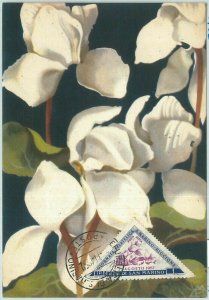 72678 - SAN MARINO - Postal History - MAXIMUM CARD - FLOWERS 1952 
