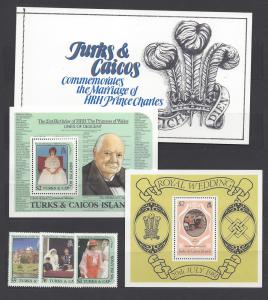 Turks & Caicos Is 1981 Royal Wedding scv $13.00 BIN $6.50