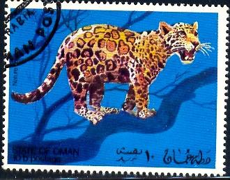 Wildcat, Jaguar, Oman stamp Used