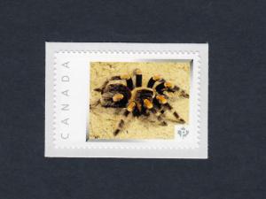 BIRD-EATER TARANTULA =SPIDER arachnid picture postage stamp Canada 2013 [p4i4/2]
