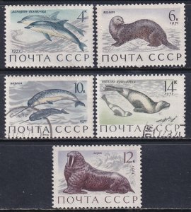 Russia 1971 Sc 3882-6 Dolphin Sea Otter Narwhals Walrus Ribbon Seals Stamp CTO