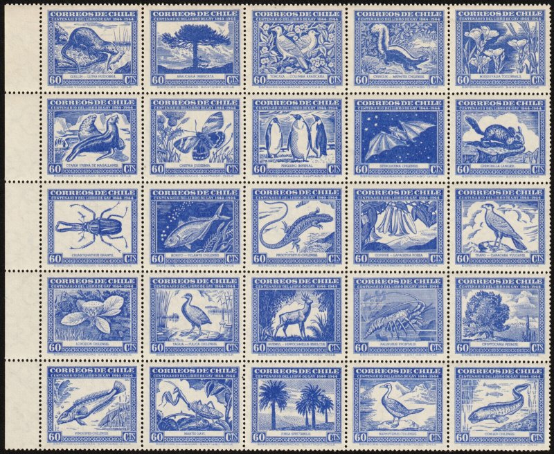 ✔️ CHILE 1948 - FAUNA CLAUDIO GAY SHEETS - SC. 254/255 C124 ** MNH  LUXE 220$