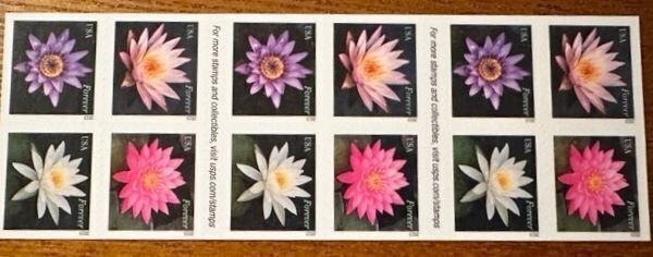 US # 4967b Water Lilies Complete booklet pane of 20 stamps forever 2015 Mint NH